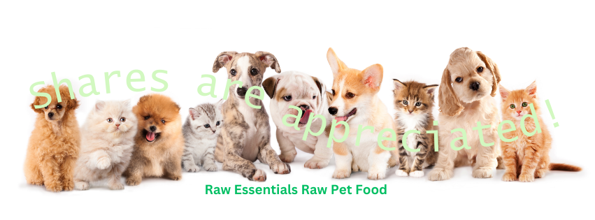 Benefits of Feeding Frozen Raw Dog Food
