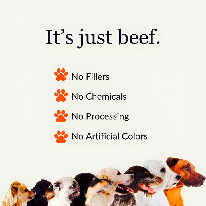 It's just beef. No fillers. No chemicals. No Processing. No Artificial colors