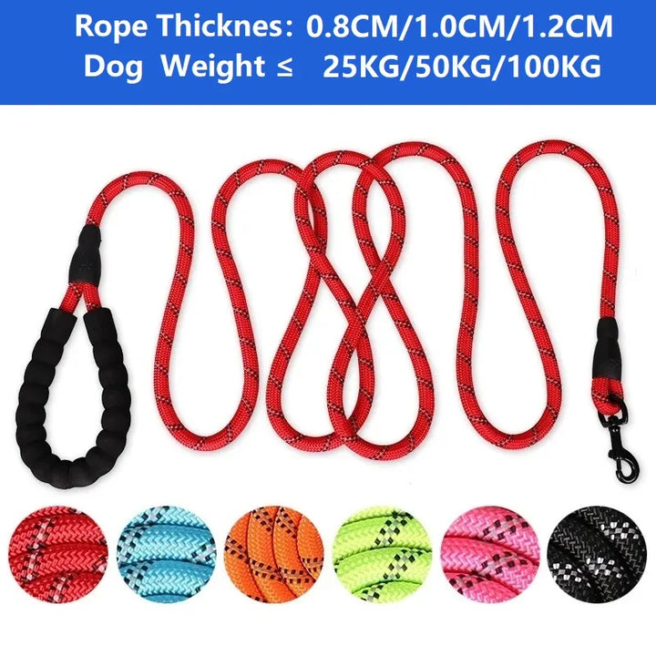 Trending Dog Leash with Soft Handle
