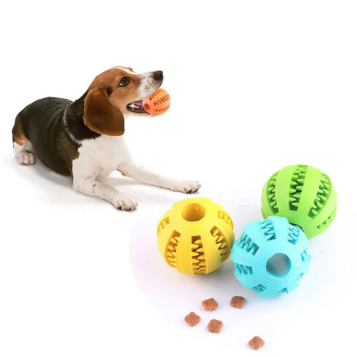 Kibble Dog Ball Toy